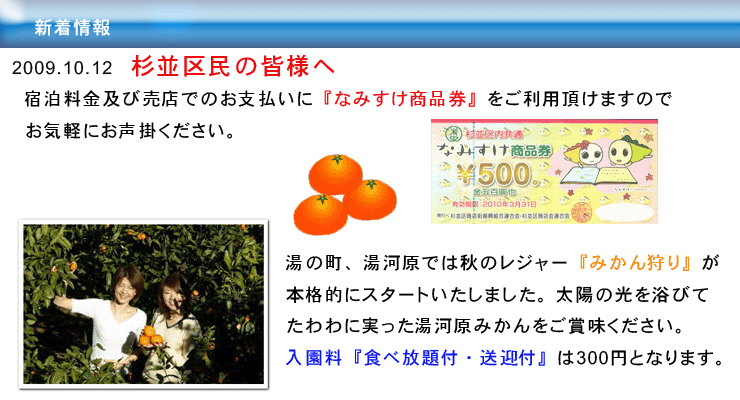 新着情報