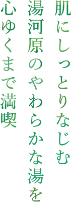 肌にしっとりなじむ湯河原のやわらかな湯を心ゆくまで満喫